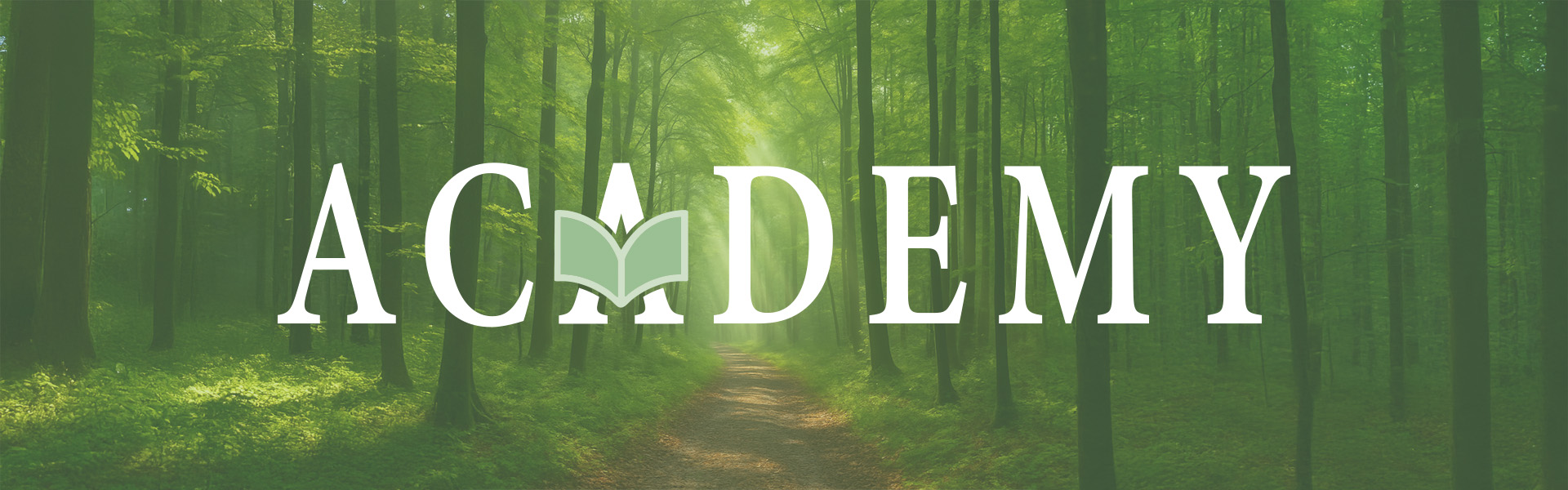 Wald_Academy